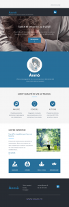 agence-communication-marseille-jones-and-co-realisations-emailing-newsletter-emailing-btob-anmo-exemple