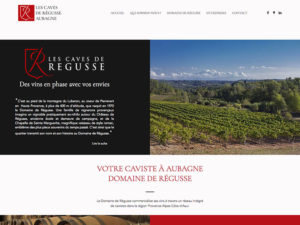 Jones-and-co-agence-communication-realisations-site-internet-cave-a-vin-aubagne-domaine-regusse-3