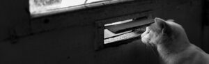 nous-contacter-agence-jones-and-co-communication-marseille-3