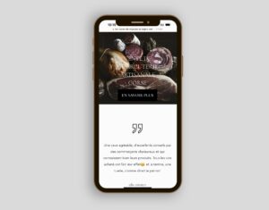 creation-site-internet-caviste-commerce-agence-digitale-jones-and-co-marseille-2