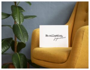 creation-identite-visuelle-magasin-decoration-agence-communication-marseille-jones-and-co-1