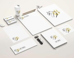 creation-logo-magasin-equitationcap-horse-jones-and-co-agence-de-communication-marseille-1